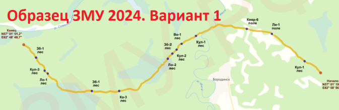 Образец документов ЗМУ 2024 года по варианту 1